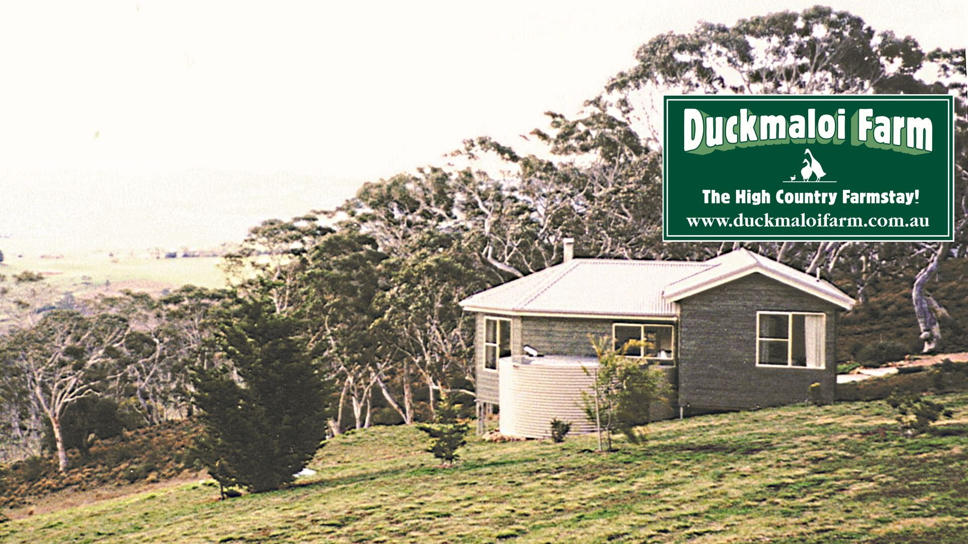 Duckmaloi Farm