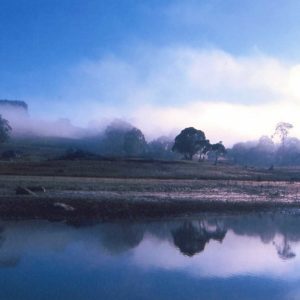 Discover- Misty Lake Oberon | Visit Oberon