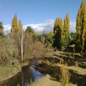 Discover - State Forests Oberon | Visit Oberon