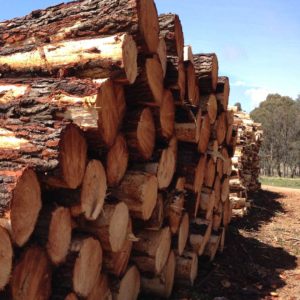 Oberon Economy - Forest & Timber Industry Oberon Economy - Forest & Timber Industry | Visit Oberon