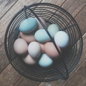 All Your Eggs in One Basket | Visit Oberon