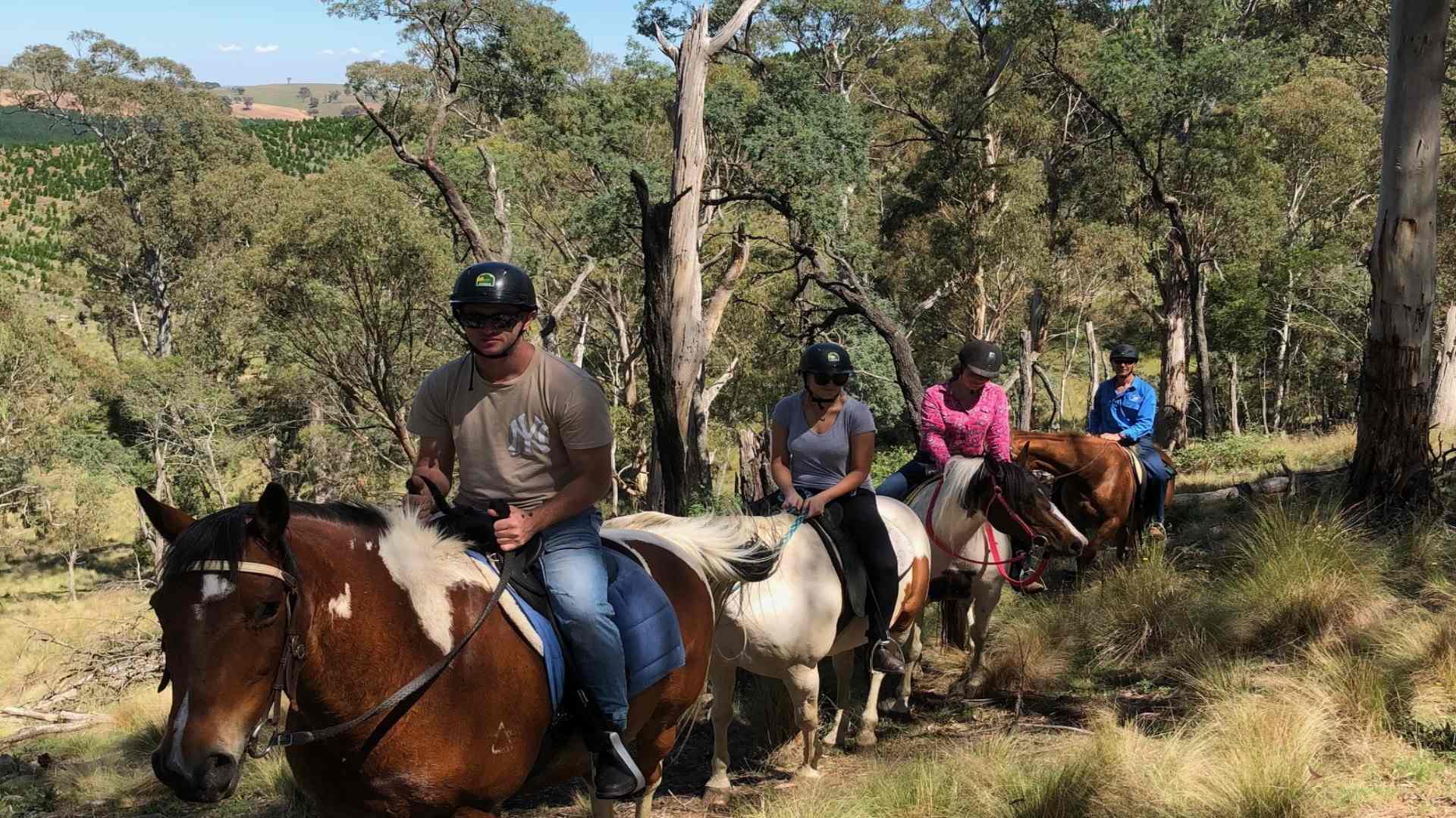 High Country Trail Rides