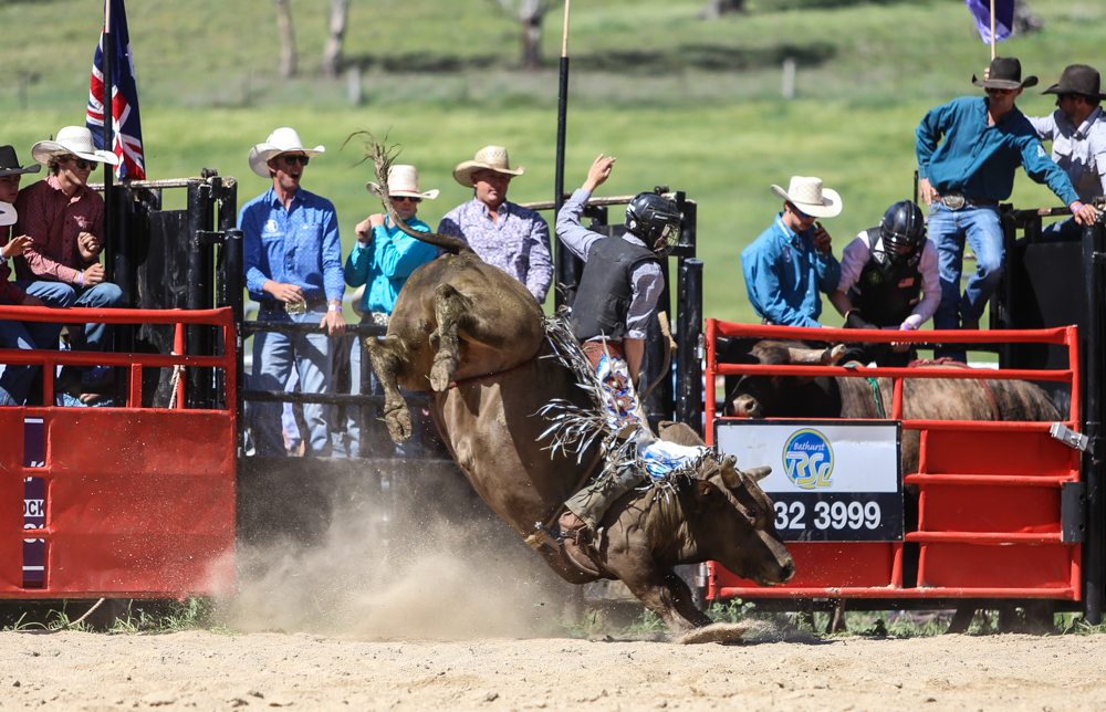 50th Rockley Rodeo