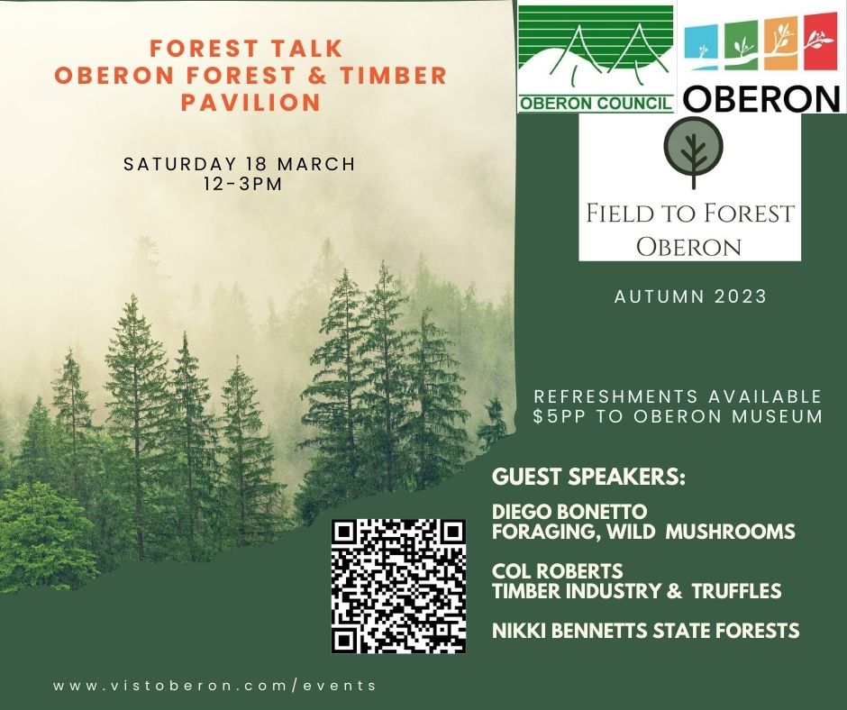 Forest Foraging Talk at the Timber Pavilion