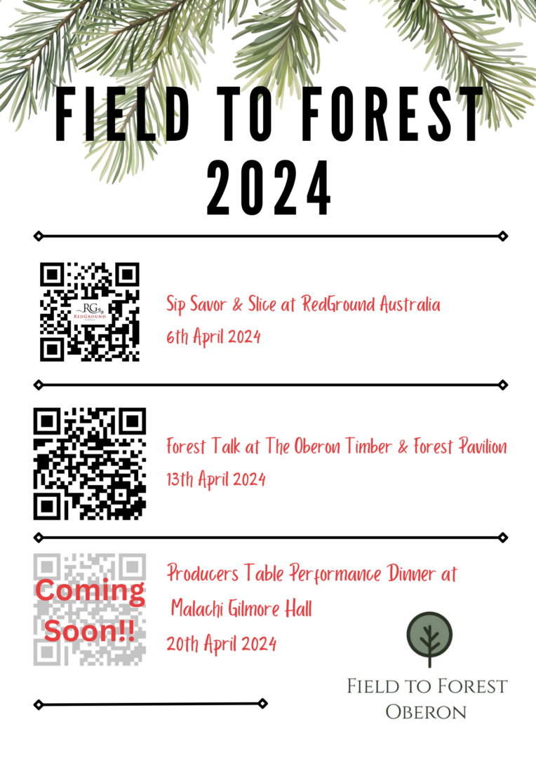 Field to Forest Festival 2024