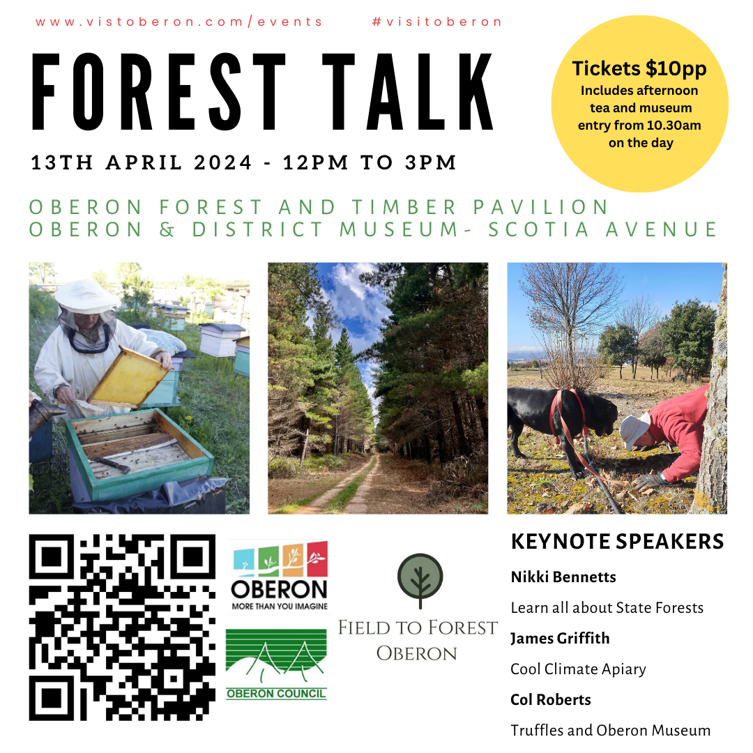 Forest Talk Field to Forest Festival 2024