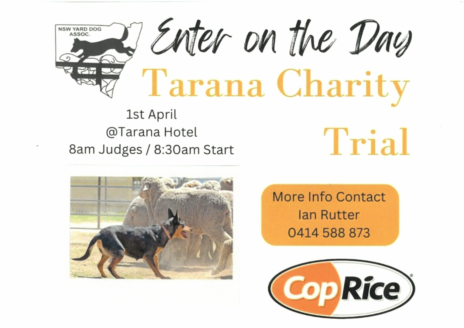 Tarana Charity Dog Trials